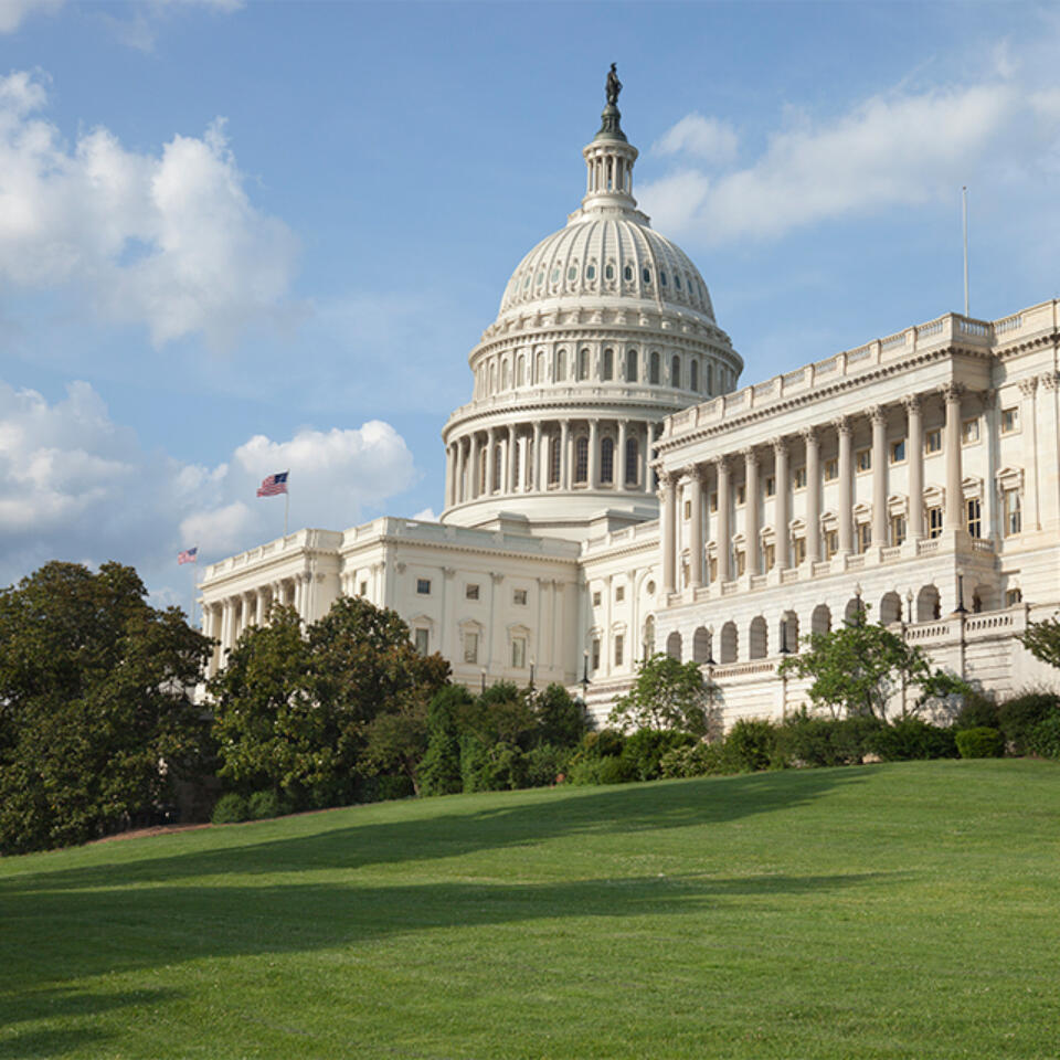 Zetas visit Capitol Hill virtually